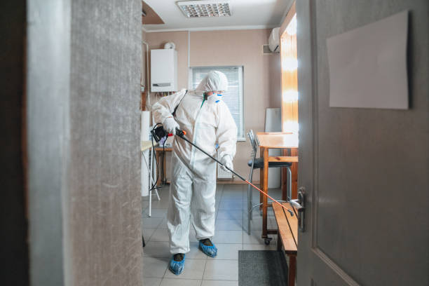 Best Mold Odor Removal Services  in Kyle, TX