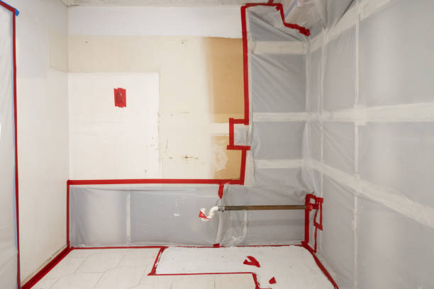 Best Mold Damage Restoration  in Kyle, TX