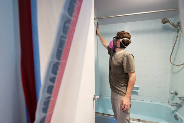 Professional Mold Removal in Kyle, TX