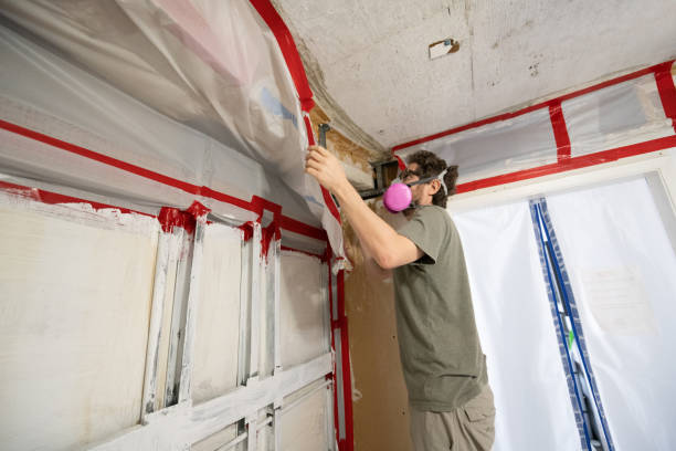 Best Crawl Space Mold Remediation  in Kyle, TX