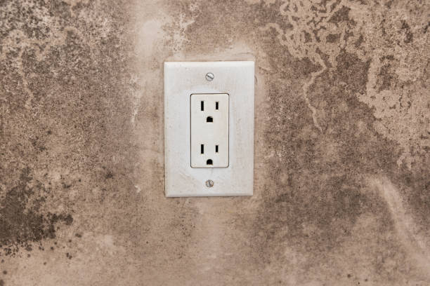 Best Dehumidification Services  in Kyle, TX